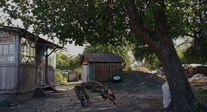 Фотография